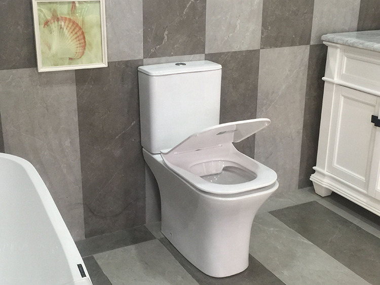 Унитаз компакт Cerutti SPA VETTORE CT7192 безободковый с микролифтом и быстросъемным сиденьем