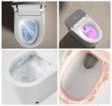 Умный унитаз-биде импульсный Ceruttispa ЭСТЕР (ESTER) Smart CT10617 безободковый, электронный, с дистанционным управлением